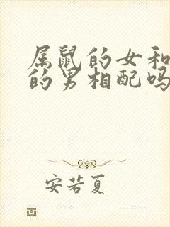 属鼠的女和属龙的男相配吗