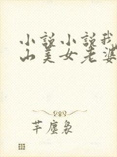 小说小说我的冰山美女老婆