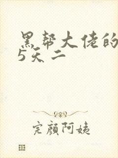 黑帮大佬的365天二封面