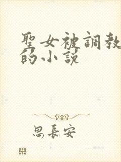 圣女被调教灌肠的小说封面
