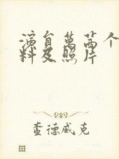 演员万茜个人资料及照片