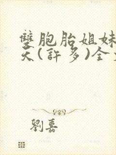 双胞胎姐妹乐翻天(许多)全文阅读封面