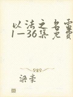 以法之名电视剧1—36集免费播放封面