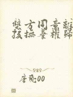 双方同意离婚小孩抚养权归谁