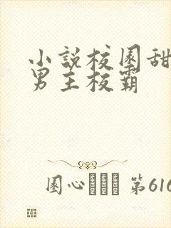 小说校园甜宠文男主校霸