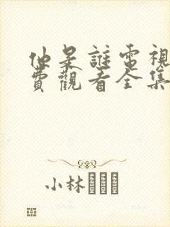 他是谁电视剧免费观看全集高清封面