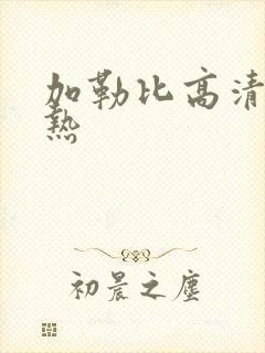 加勒比高清东京热