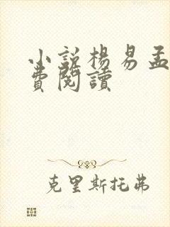 小说杨易孟晓免费阅读