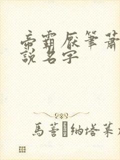 帝霸厌笔萧生小说名字