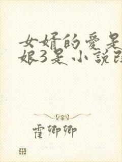 女婿的爱是丈母娘3是小说改编吗