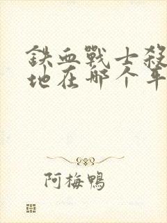 铁血战士杀戮之地在哪个平台封面