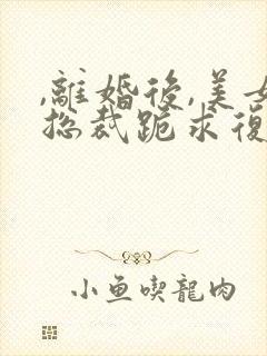 ,离婚后,美女总裁跪求复婚