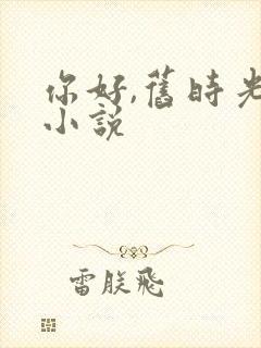 你好,旧时光 小说