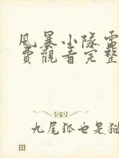 风暴小队电影免费观看完整版国语版高清