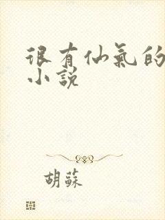 很有仙气的修仙小说