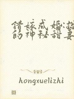 错嫁成婚:总裁的神秘甜妻封面