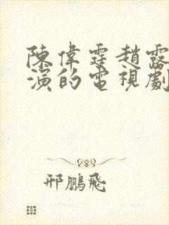 陈伟霆赵露思主演的电视剧有哪些名字封面