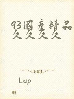 93国产精品久久久久久