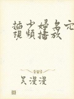 插少妇名穴内射视频播放