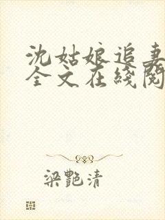 沈姑娘追妻攻略全文在线阅读