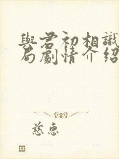 与君初相识大结局剧情介绍