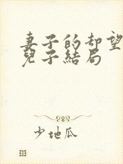 妻子的却望之傻儿子结局