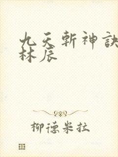 九天斩神诀一一林辰封面