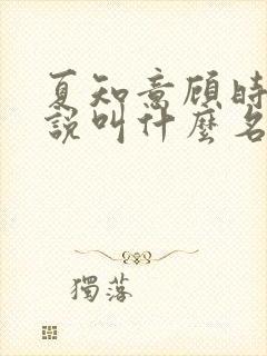 夏知意顾时聿小说叫什么名字封面