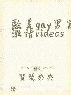 欧美gay男男激情videos