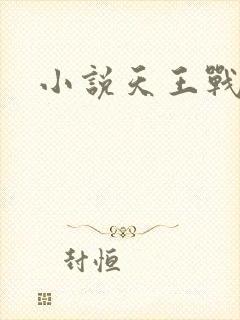 小说天王战神