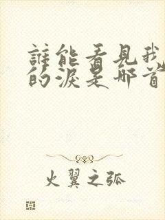 谁能看见我心里的泪是哪首歌的歌词