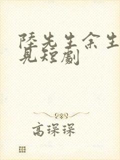 陆先生余生不再见短剧封面