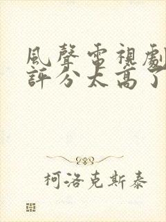 风声电视剧豆瓣评分太高了