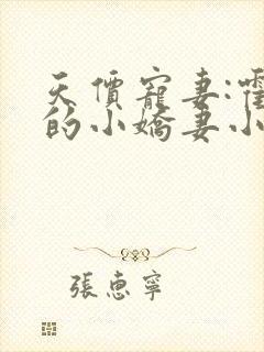 天价宠妻:霍总的小娇妻小说