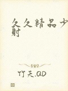 久久精品少妇内射