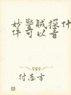 妙警贼探什么软件可以看