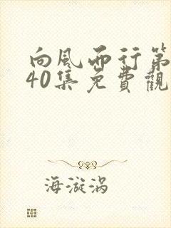 向风而行第二部40集免费观看