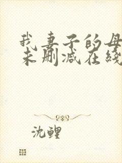 我妻子的母亲2未删减在线播放