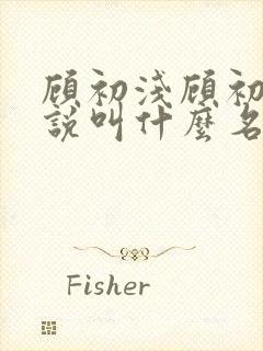 顾初浅顾初绾小说叫什么名字