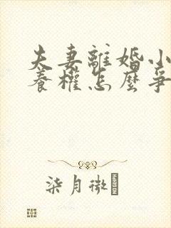 夫妻离婚小孩抚养权怎么争取