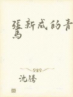 张新成的青梅竹马封面