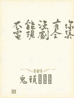 不能没有你韩剧电视剧全集免费播放