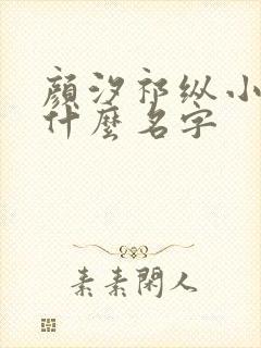 颜汐祁纵小说叫什么名字