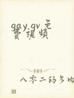gay gv免费视频封面