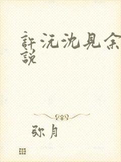 许沅沈见余的小说封面