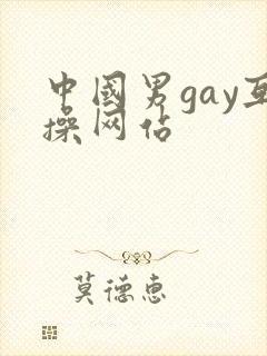 中国男gay互操网站