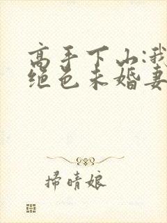 高手下山:我的绝色未婚妻小说完整