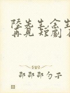 陆先生,余生不再见 短剧 在线观看