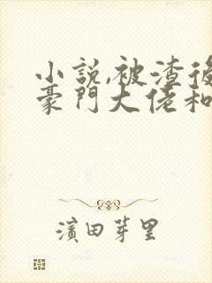 小说,被渣后,豪门大佬和我闪婚了