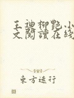 王迪柳艳小说全文阅读在线